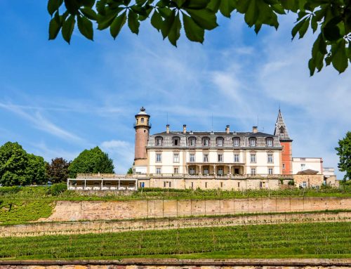 2022 – Château d’Isenbourg à Rouffach, près de Colmar