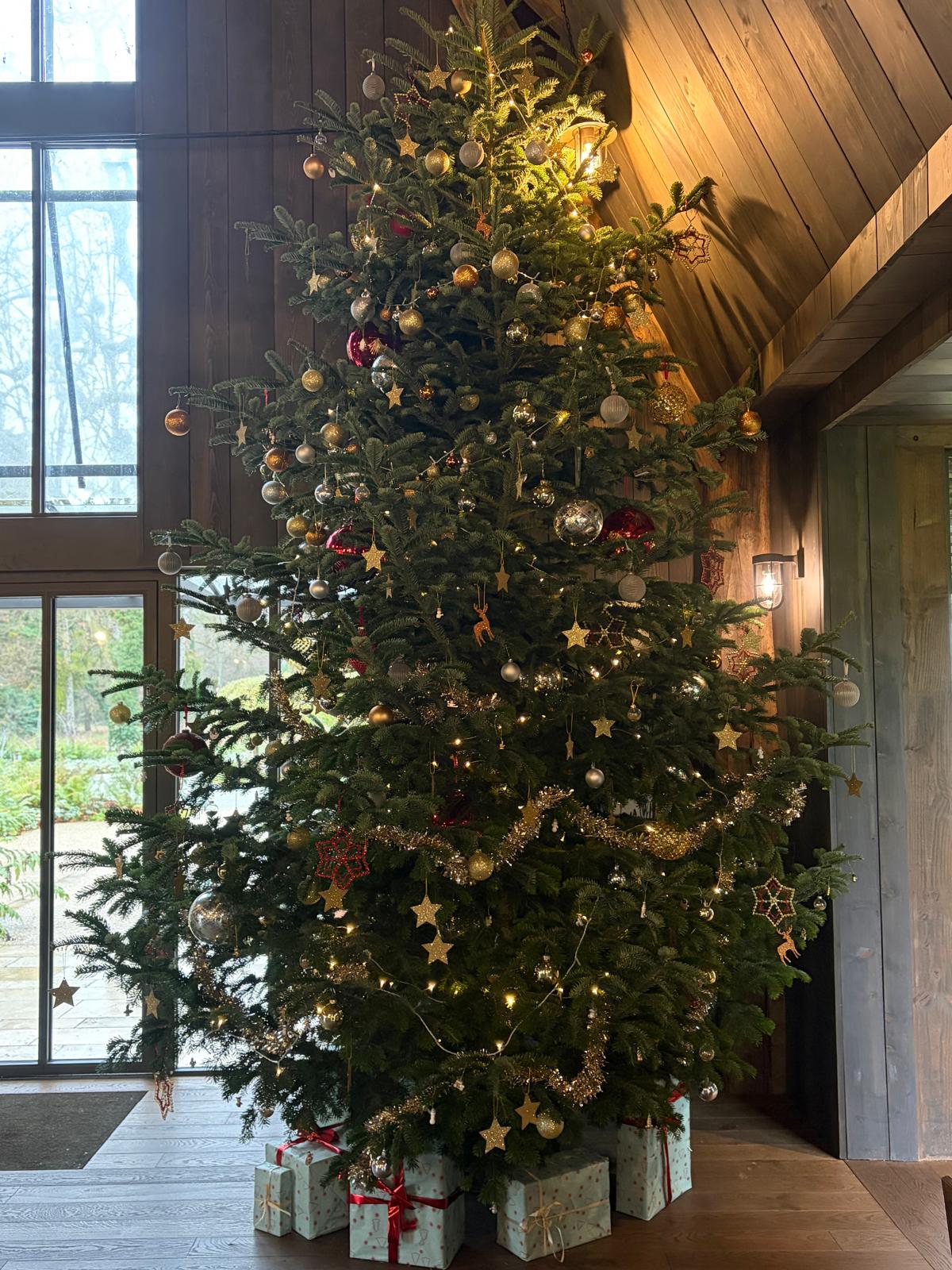 9578E2E6-8895-4ABC-95FE-75AF1AB4EC1F