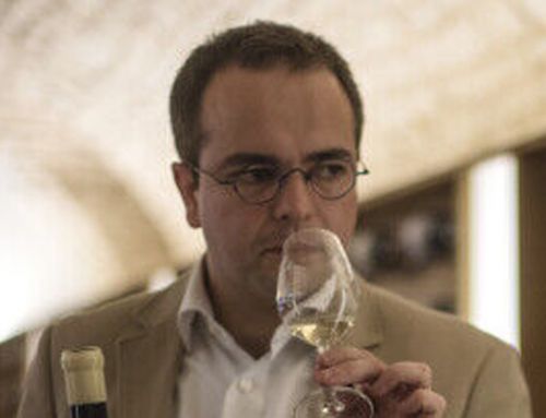 Hugues Picot – Chef Sommelier  – Les Sources de Vougeot