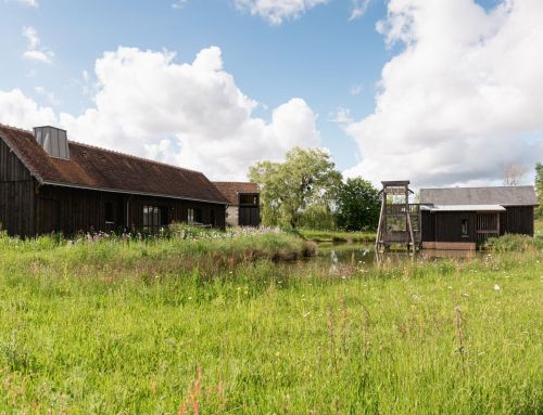 Magazine Les Sources 2025